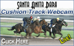Santa Anita webcam / horse racing picks